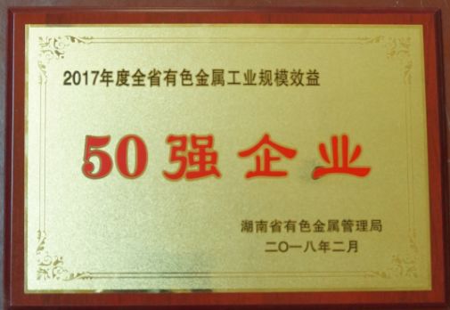 Hunan Nonferrous Metal Top 50